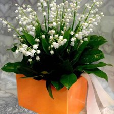 Cross stitch pattern: #252324