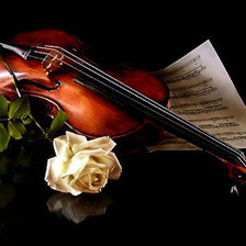 Cross stitch pattern: #252344