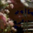 Preview of cross stitch pattern: #252353