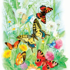 Cross stitch pattern: #252641