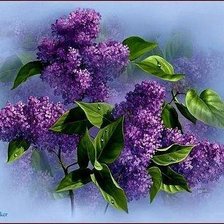 Cross stitch pattern: #252775