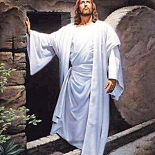 Cross stitch pattern: #252999