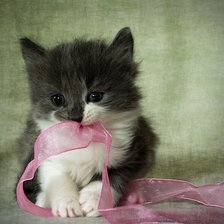 Cross stitch pattern: #253126