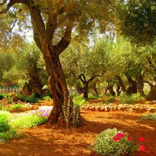 Cross stitch pattern: #253332