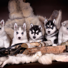 Cross stitch pattern: #253365