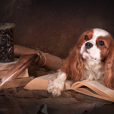 Cross stitch pattern: #253373