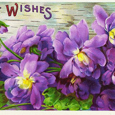 Cross stitch pattern: #253530