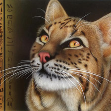 Cross stitch pattern: #253616