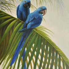 Cross stitch pattern: #254074