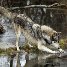 Cross stitch pattern: #254489