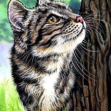 Cross stitch pattern: #254683