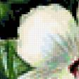 Preview of cross stitch pattern: #255722