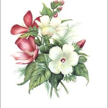 Cross stitch pattern: #255722