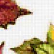 Preview of cross stitch pattern: #255753