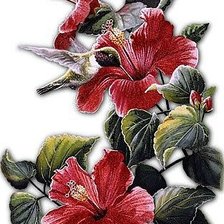 Cross stitch pattern: #255756