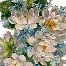 Cross stitch pattern: #255765