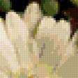 Preview of cross stitch pattern: #256207