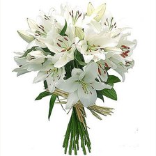 Cross stitch pattern: #256209