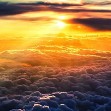 Cross stitch pattern: #256279