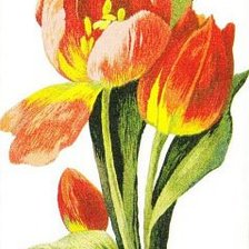 Cross stitch pattern: #257070