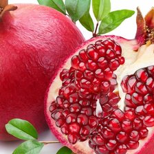 Cross stitch pattern: #257537