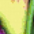 Preview of cross stitch pattern: #257623