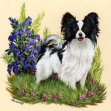 Cross stitch pattern: #257719