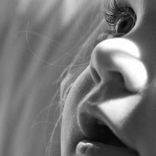 Cross stitch pattern: #258228