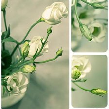 Cross stitch pattern: #258233