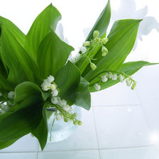 Cross stitch pattern: #258271