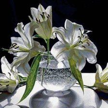 Cross stitch pattern: #258535