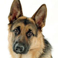 Cross stitch pattern: #258880