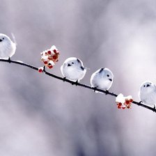 Cross stitch pattern: #258944