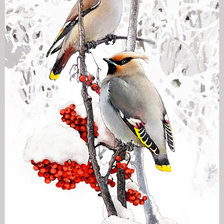 Cross stitch pattern: #259249