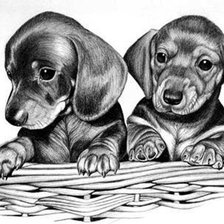 Cross stitch pattern: #259394