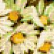 Preview of cross stitch pattern: #260252