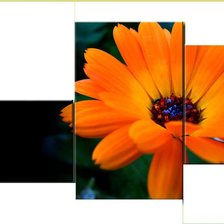 Cross stitch pattern: #260959