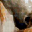 Preview of cross stitch pattern: #261210