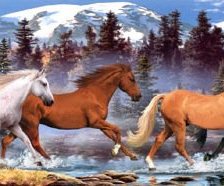 Cross stitch pattern: #261254
