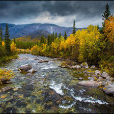 Cross stitch pattern: #261817