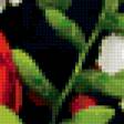 Preview of cross stitch pattern: #262080