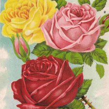 Cross stitch pattern: #262720