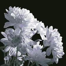 Cross stitch pattern: #262965