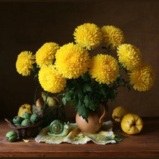 Cross stitch pattern: #263446