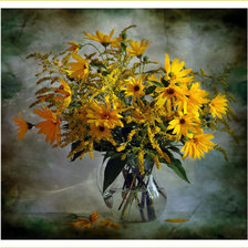 Cross stitch pattern: #263455