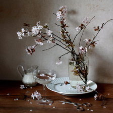 Cross stitch pattern: #263460