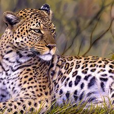 Cross stitch pattern: #263769