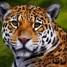 Cross stitch pattern: #263776