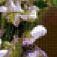 Preview of cross stitch pattern: #264489