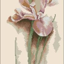 Cross stitch pattern: #264625